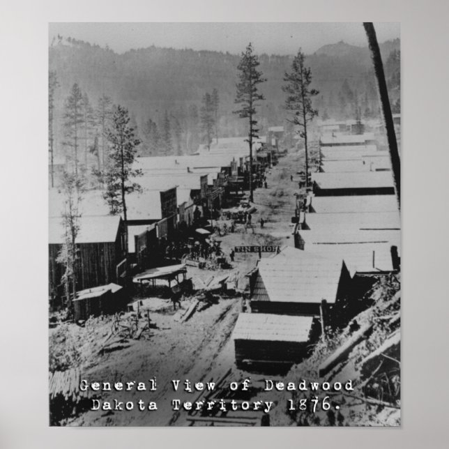 Vy över Deadwood SD 1876 Poster (Framsidan)