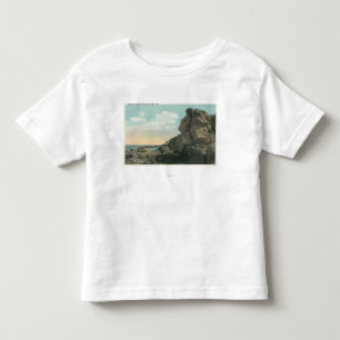Vy över den gamle i Sea Sten-bildningen Tee Shirt