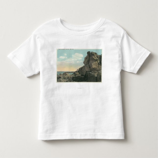 Vy över den gamle i Sea Sten-bildningen Tee Shirt (Framsida)