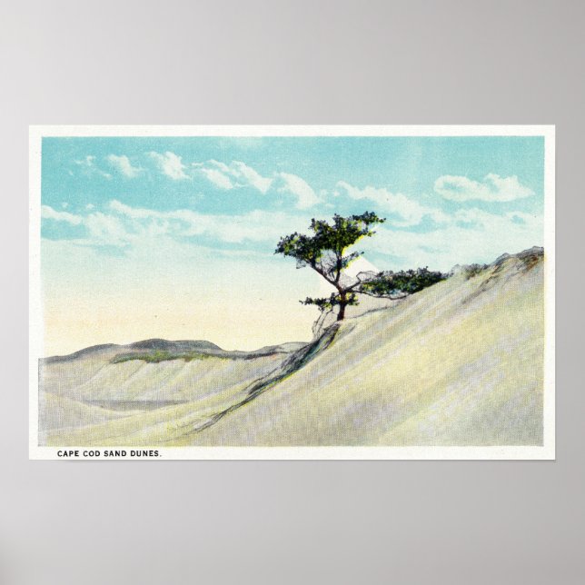 Vy över Dorothy Bradford Steamer Poster (Framsidan)