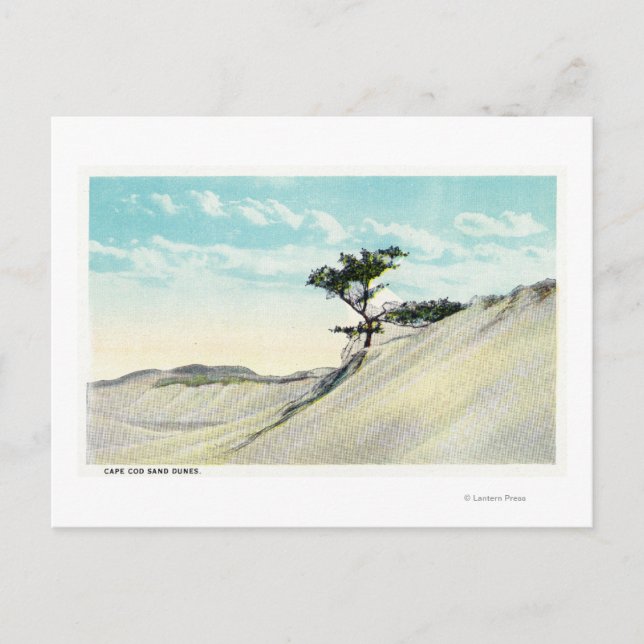 Vy över Dorothy Bradford Steamer Vykort (Framsida)