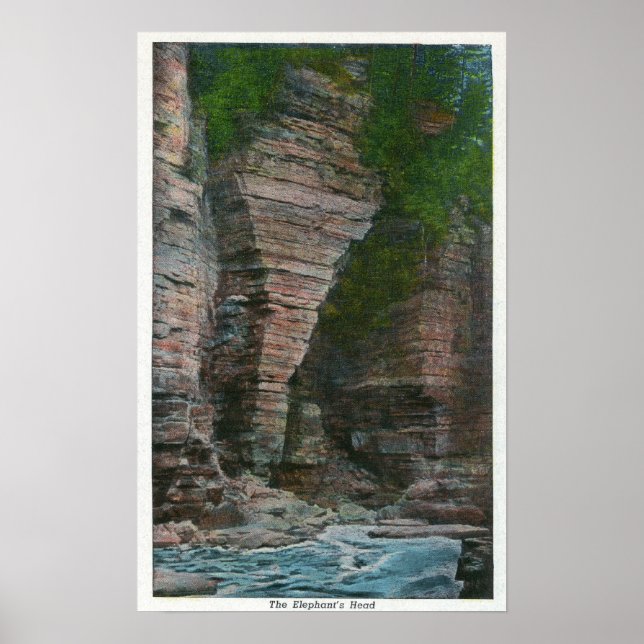 Vy över Elefantens chef Poster (Framsidan)