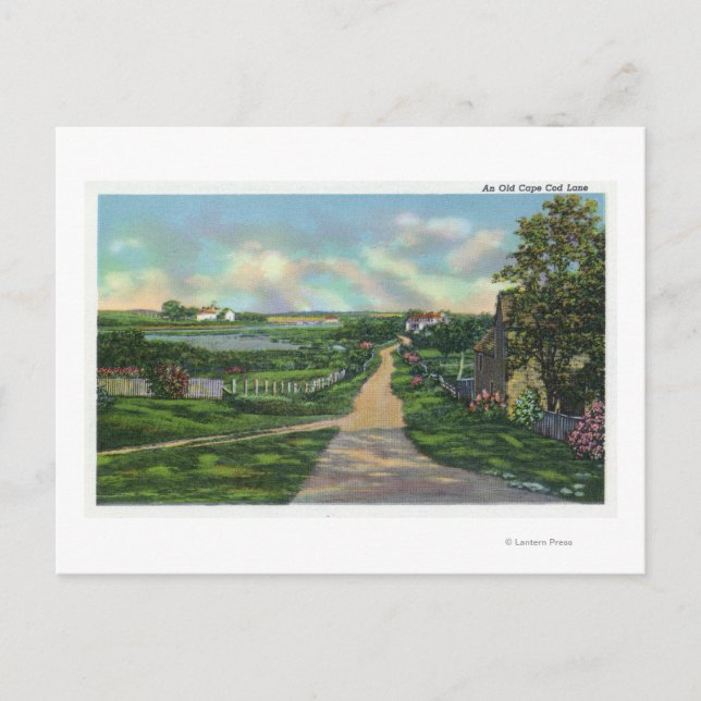 Vy över en gammal Cape Lane Vykort (Framsida)
