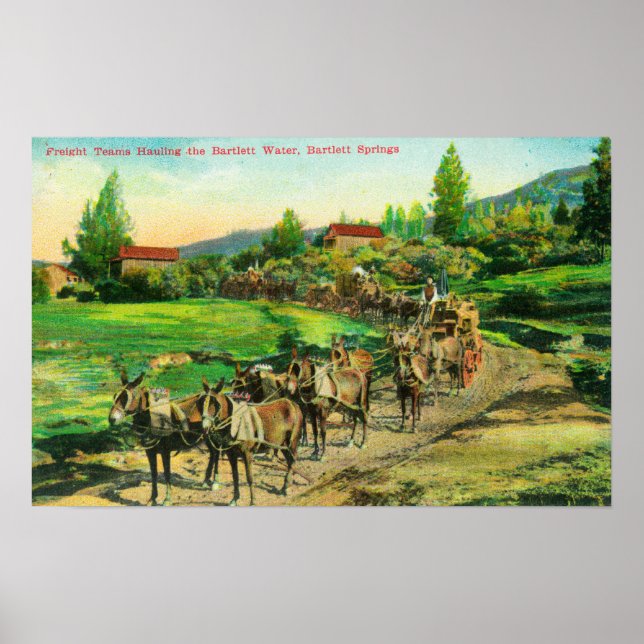 Vy över godsteamerna Hauling Bartlett Vatten Poster (Framsidan)
