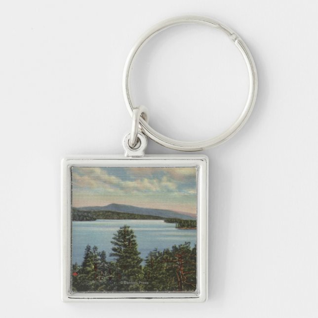 Vy över Gräs Clad Shores of Sjö Fyrkantig Silverfärgad Nyckelring (Framsidan)