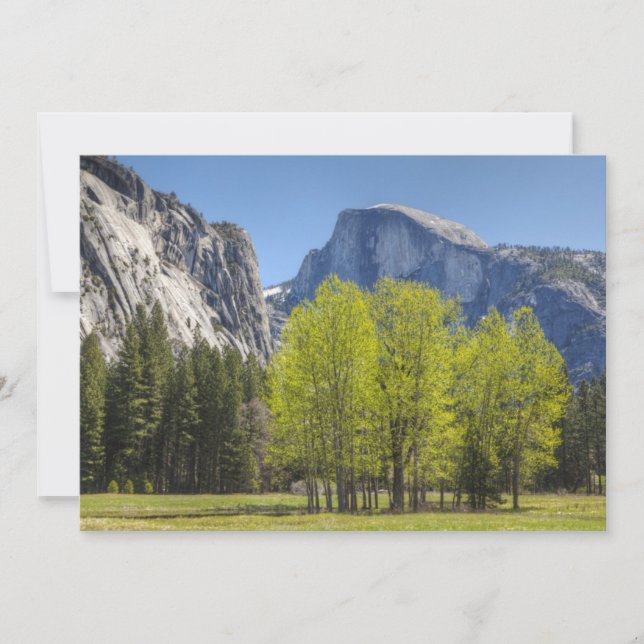 Vy över halvdom (Framsida)