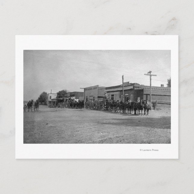 Vy över Horse Wagon Teams på Street Vykort (Framsida)