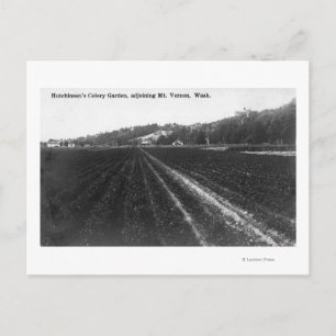 Vy över Hutchinson Celery Garden Vykort