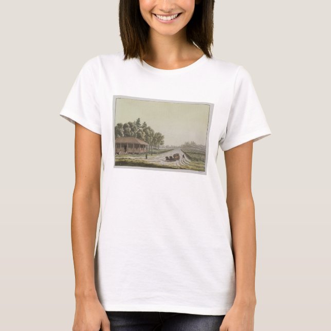 Vy över Huvudstad Backe, Washington (färg-gravning Tee Shirt (Framsida)