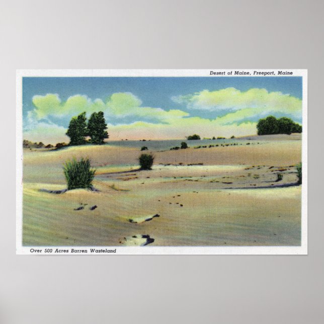Vy över Maine-öknen Poster (Framsidan)