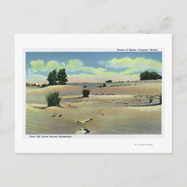 Vy över Maine-öknen Vykort (Framsida)