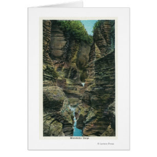 Vy över Minnehaha Gorge Hälsningskort