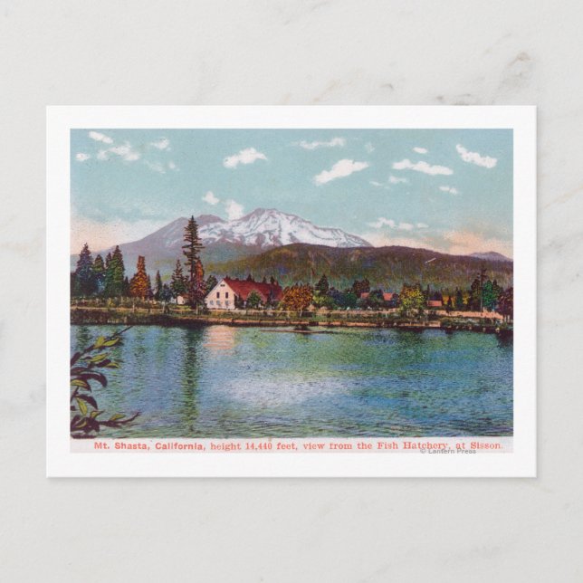 Vy över Mt. Shasta från Fish Hatchery Vykort (Framsida)