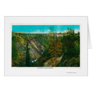 Vy över orkanbron i Gulch, Alaska Hälsningskort