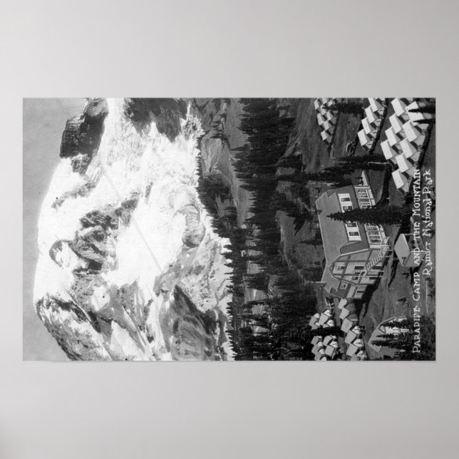 Vy över paradise Camp och Mt Rainier Poster (Framsidan)