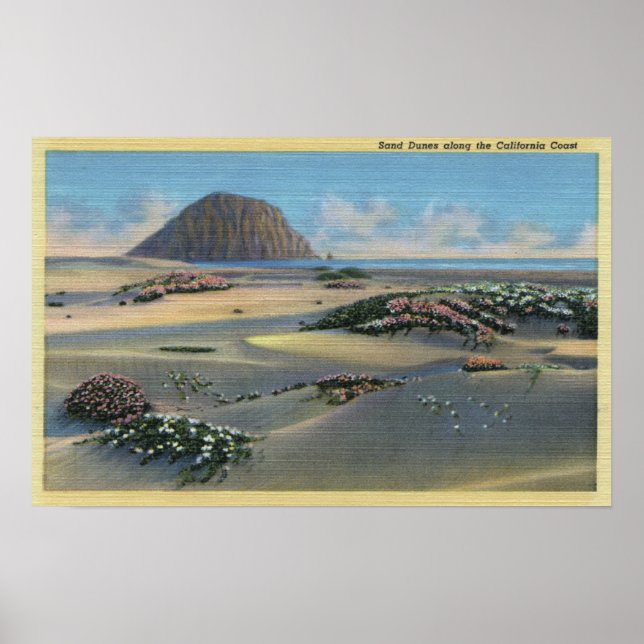 Vy över Sand Dunes vid Kusten Poster (Framsidan)