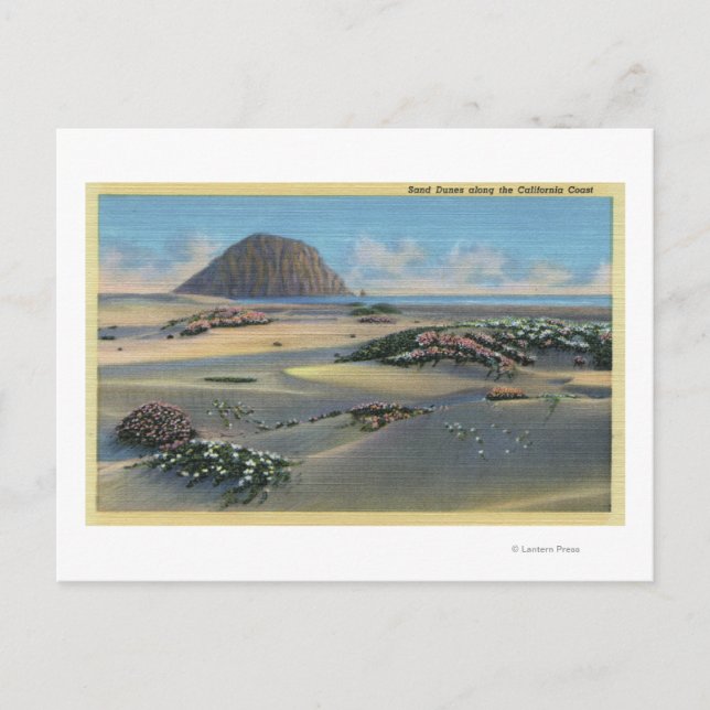 Vy över Sand Dunes vid Kusten Vykort (Framsida)