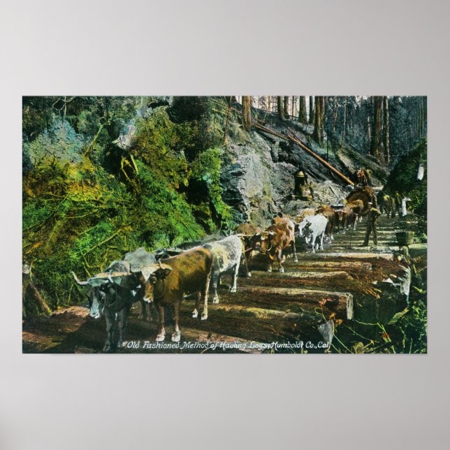 Vy över spårningsloggar för Ox-team Poster (Framsidan)