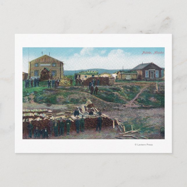 Vy över stadsbor runt klippt träNulato, AK Vykort (Framsida)