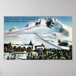 Vy över tidrapportalets längd, Mt-Huva på vinter Poster