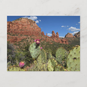 Vy över tvillingknappar Sedona, Arizona Vykort