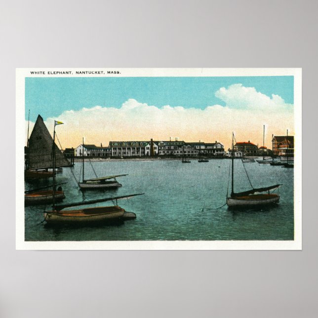 Vy över White Elephant Poster (Framsidan)