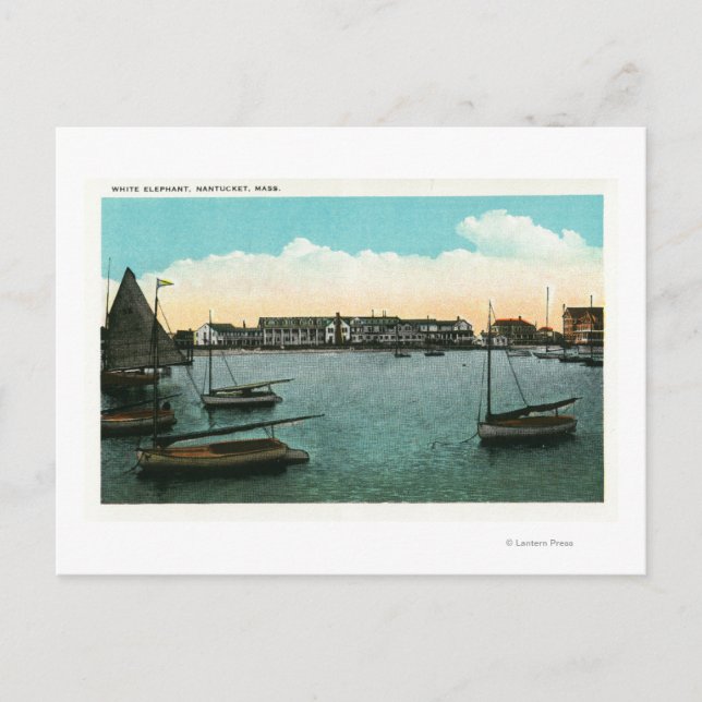 Vy över White Elephant Vykort (Framsida)