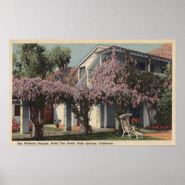 Vy över Wisteria Pergola, Oasis Hotel Poster (Framsidan)