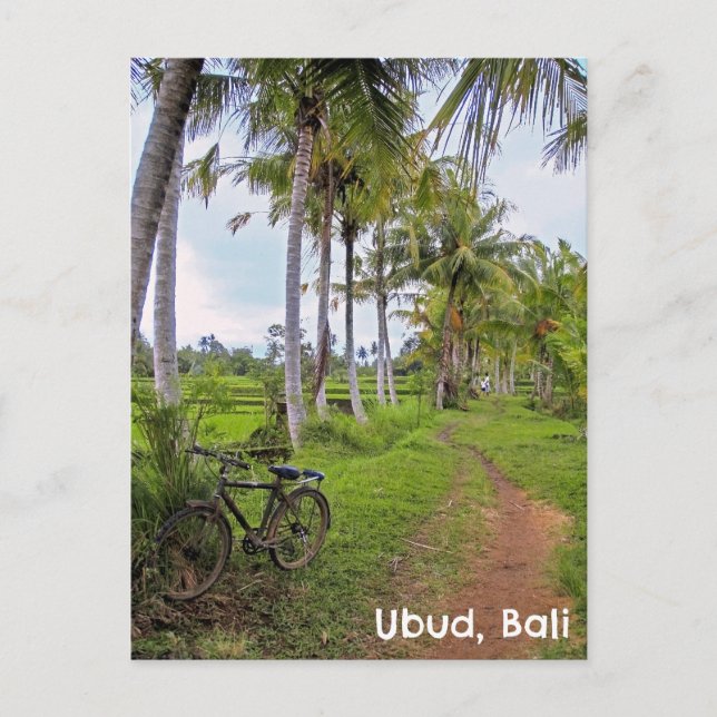 vycard Ubud Bali Indonesia ris fält cykel Vykort (Framsida)