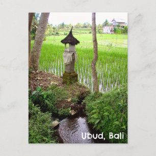 vycard Ubud Bali Indonesia ris fält Temple Vykort