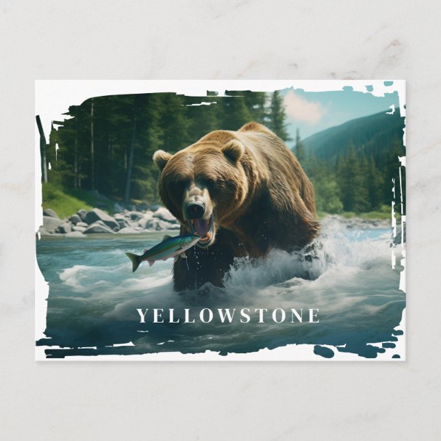 Vyellowstone Bear-vykort Vykort (Framsida)