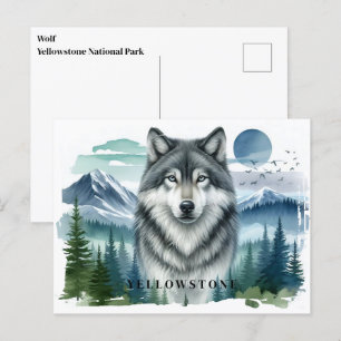Vyellowstone-vykort för Varg Vykort