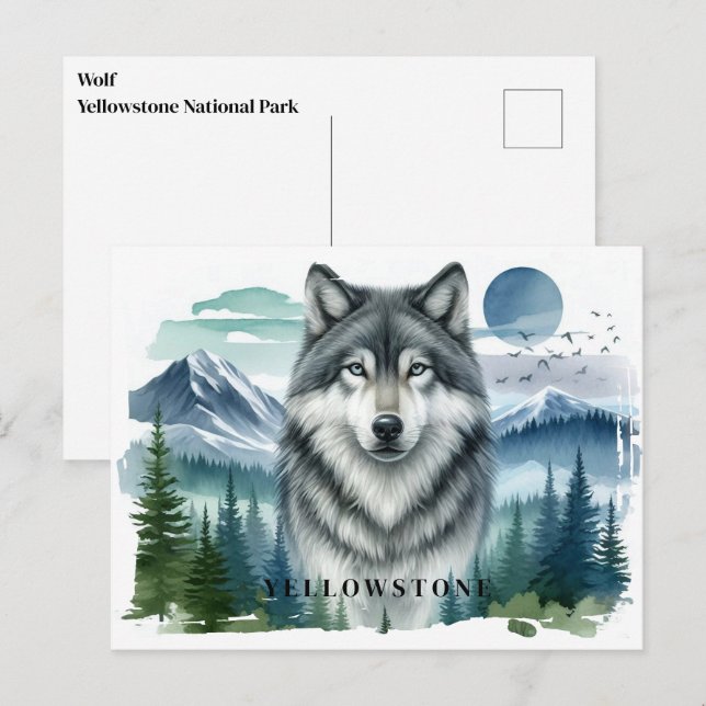 Vyellowstone-vykort för Varg Vykort (Fram/baksida)