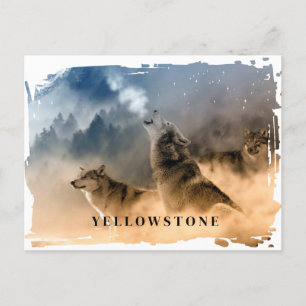 Vyellowstone-vykort för Varg Vykort