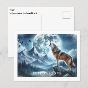 Vyellowstone-vykort för Varg Vykort