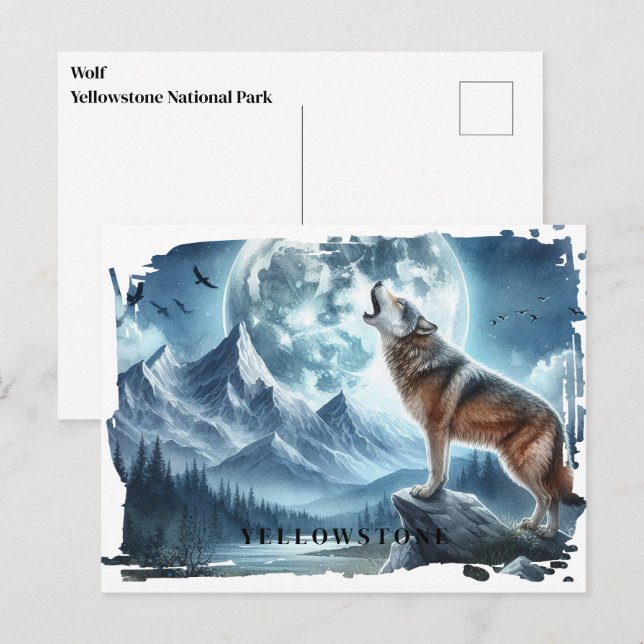 Vyellowstone-vykort för Varg Vykort (Fram/baksida)