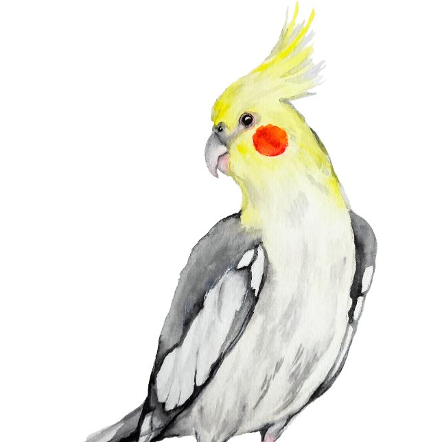 vykort (Skapare uppladdad)