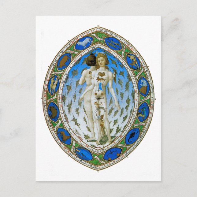 vykort: Anatomiskt man Vykort (Framsida)