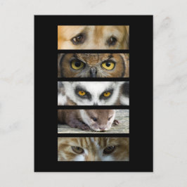 vykort - Animaliska Ögon