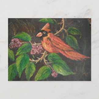 vykort Ann Hayes Painting Kardinal