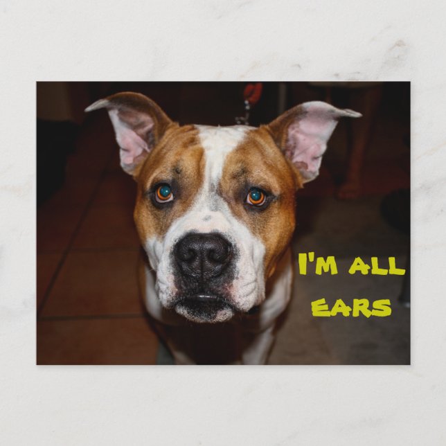 vykort är öron (Framsida)