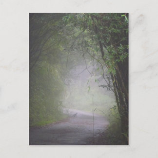 vykort av typen Mikado pheasant