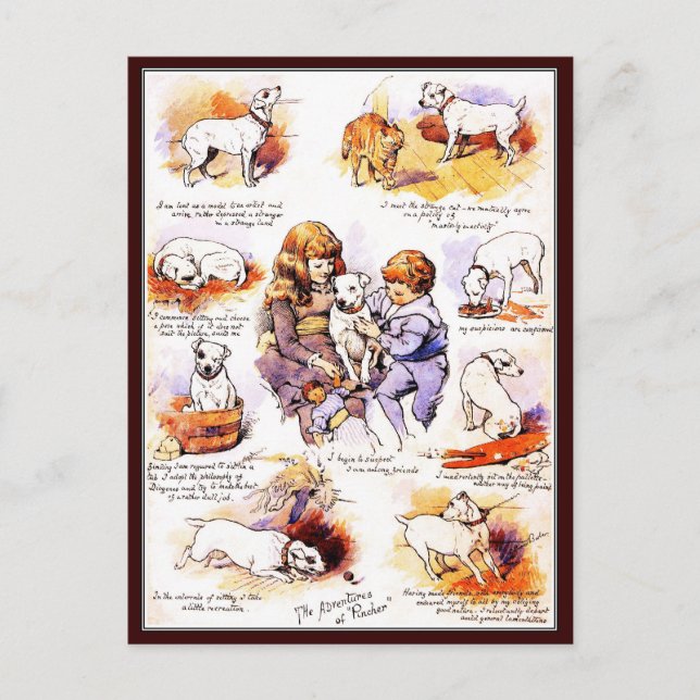 vykort: Äventyren Pincher i Hund Vykort (Framsida)