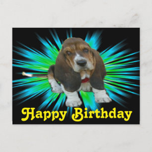 vykort Baby Basset Sheldon Grattis på födelsedagen