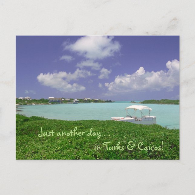 vykort/ "Bara en annan dag i turkar och caikos" Vykort (Framsida)