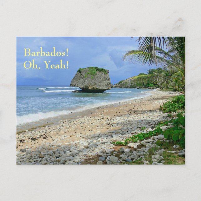 vykort, BARBADOS! BATHSHEBA STEN Vykort (Framsida)