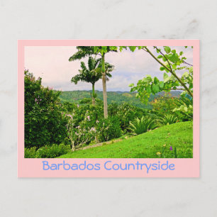 vykort: "BEAUTIFUL BARBADOS COUNTRYSIDE (PHOTOG) Vykort