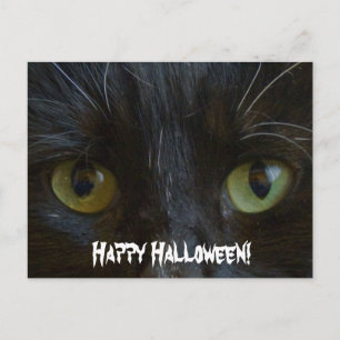 Vykort: Black Cat Öga Vykort
