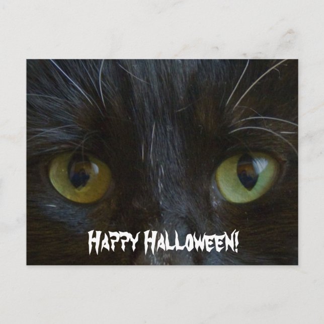 Vykort:  Black Cat Öga Vykort (Framsida)