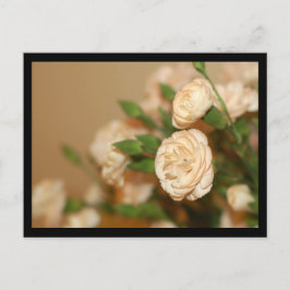 vykort-Blommor-21 Vykort